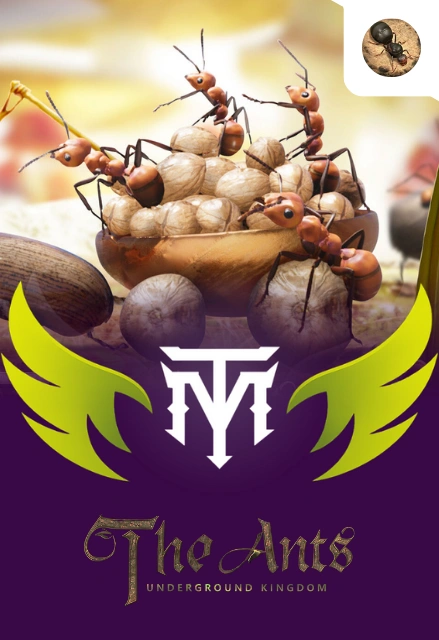 The Ants Underground Kingdom